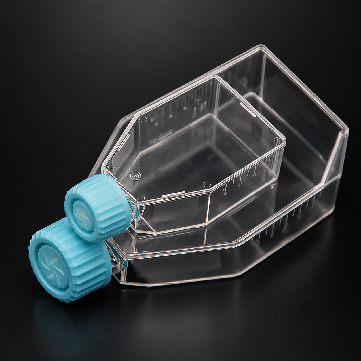 Cell & Tissue Culture Flasks